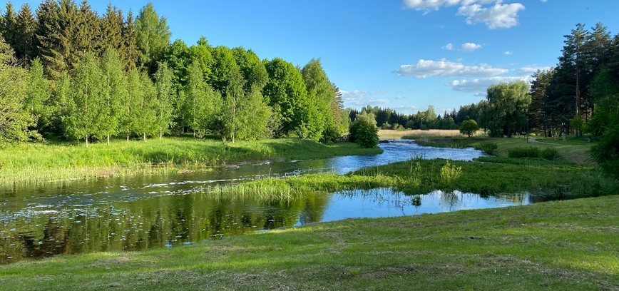 A. Dauguviečio parko maudykloje vandens kokybė neatitinka reikalavimų
