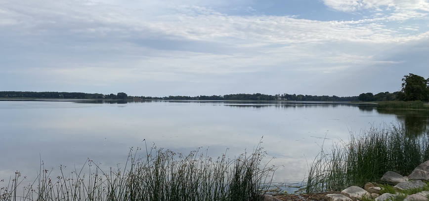 Centrinėje maudykloje vandens kokybė neatitinka reikalavimų