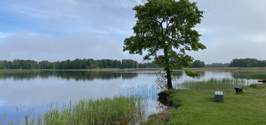 Maudyklų vandens tyrimai geri